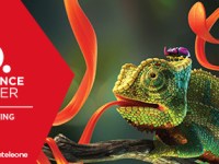 Summary. / 目录。